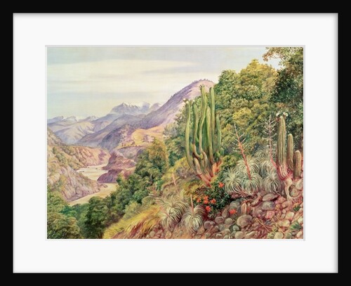 The Streams of Languenas in the Cordellera, Chile by Anonymous Anonymous