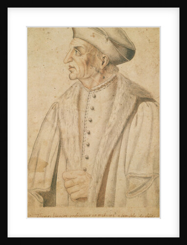 Thomas Linacre by French School