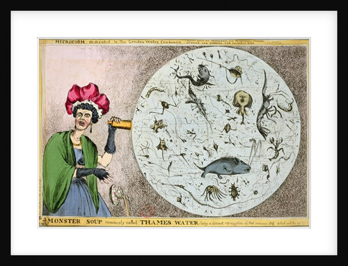 Microcosm dedicated to the London Water Companies by William Heath