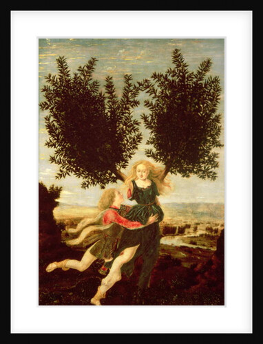 Daphne and Apollo, c.1470-80 by Antonio Pollaiuolo
