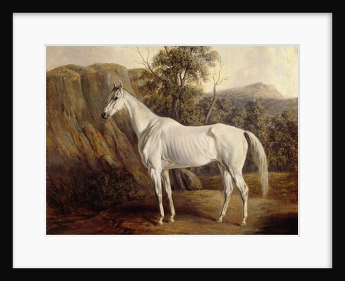 Bolivia, 1836 by Edward Troye