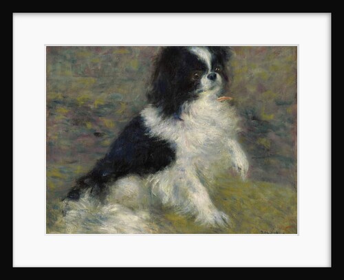 Tama, the Japanese Dog, c.1876 by Pierre Auguste Renoir