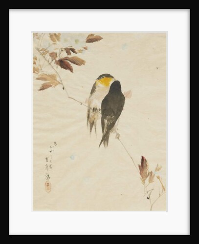 Birds on a Branchm, 1871-1917 by Watanabe Seitei