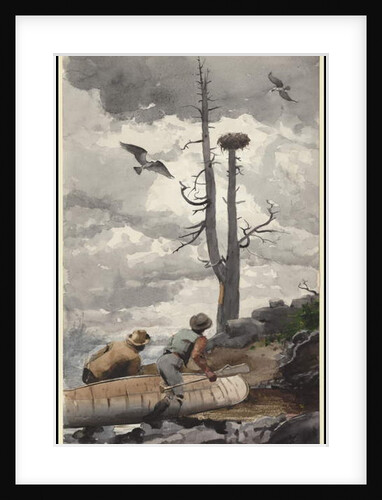 The Eagle's Nest, 1902 by Winslow Homer