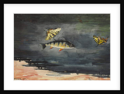 Fish and Butterflies, 1900 by Winslow Homer