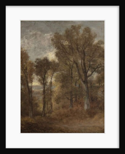 Woodland scene overlooking Dedham Vale, c.1802-03 by John Constable