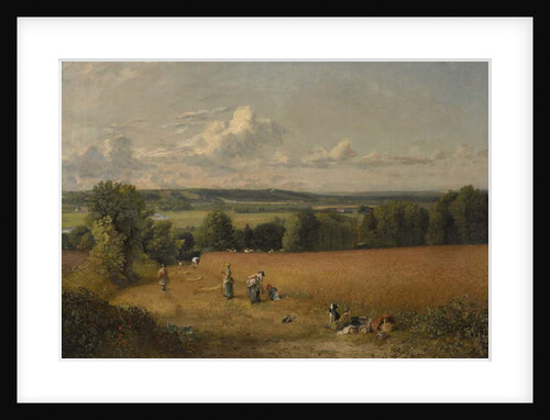 The Wheat Field, 1816 by John Constable