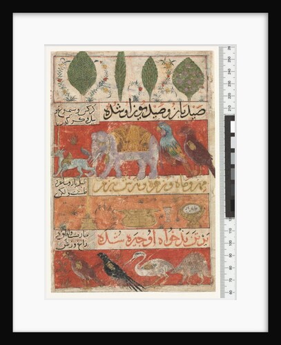 Animals, Birds and Plants, Ilkhanid Period, 1341 by Persian School