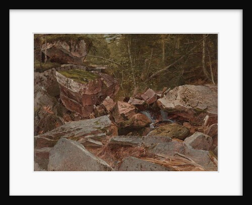 Study, North Conway, New Hampshire, 1851 by David Johnson