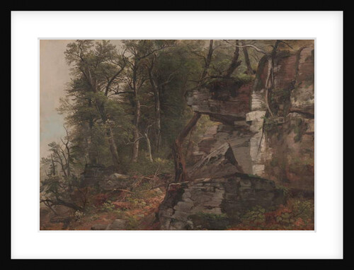 Trees on a Rocky Hillside, c.1849 by Asher Brown Durand