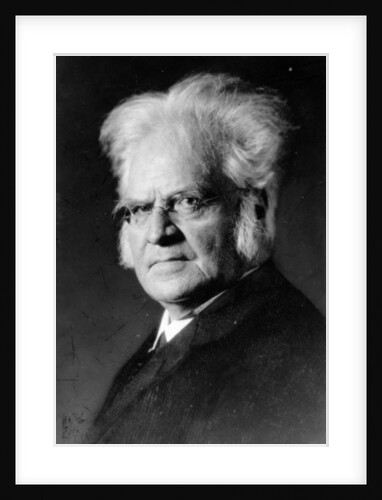 Portrait of Norwegian writer Bjoernstjerne Bjoernson by German Photographer