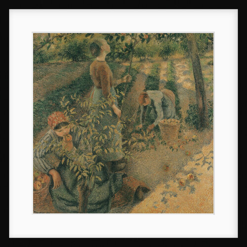 The Apple Pickers, 1886 by Camille Pissarro