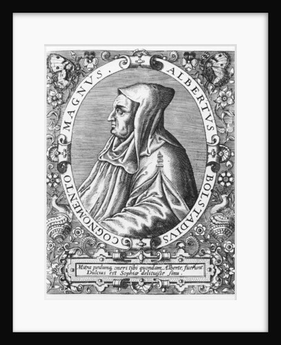 Albertus Magnus by Theodor de Bry