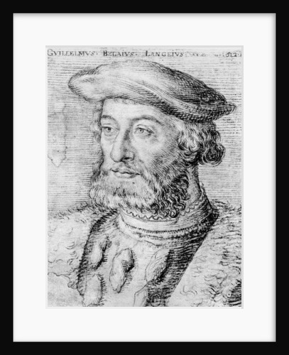 Guillaume du Bellay by French School