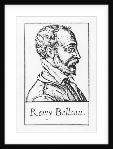 Remy Belleau by French School