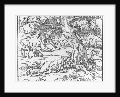 Page from 'Discours du Songe de Poliphile', by Francesco Colonna, 1546 by French School