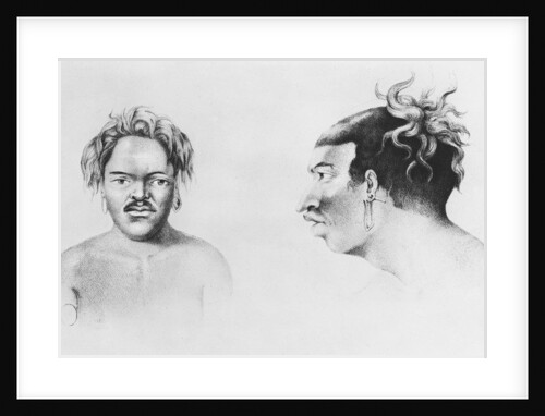 Types of Islanders by French School