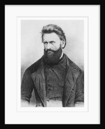 Julius Fröbel by German School