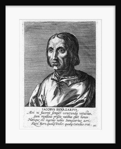 Jacopo Sannazaro by French School