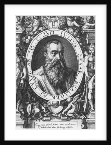 Julius Caesar Scaliger by French School