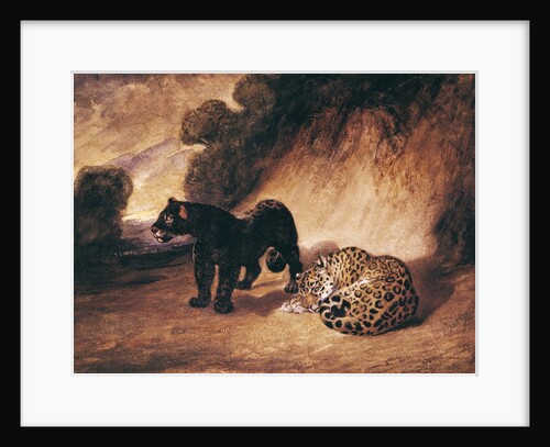 Two Jaguars from Peru by Antoine Louis Barye