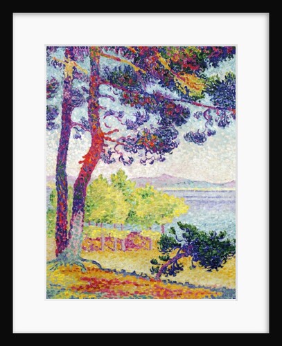 Afternoon at Pardigon, Var, 1907 by Henri-Edmond Cross