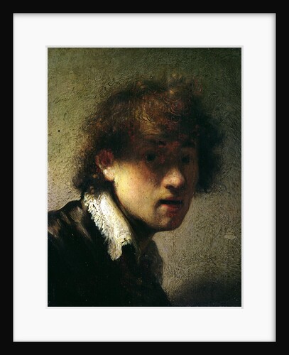 Self-portrait, 1629 by Rembrandt Harmensz. van Rijn