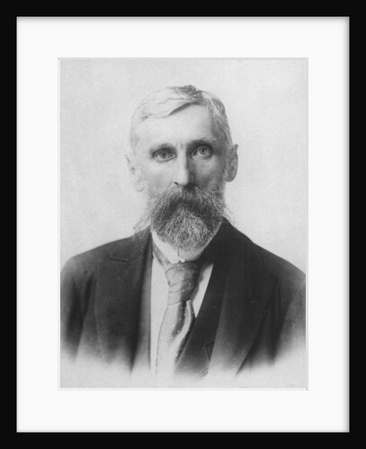 Portrait of Adam Asnyk by French Photographer