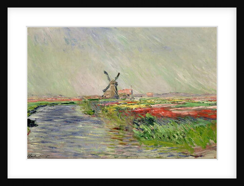Tulip Field in Holland by Claude Monet