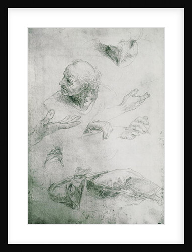 Studies for the Figure of Bramante by Raphael