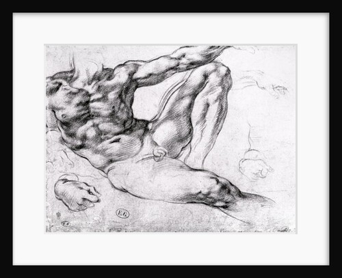 Study for the Creation of Adam by Michelangelo Buonarroti