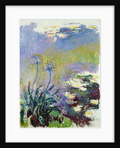 The Agapanthus, 1914-17 by Claude Monet