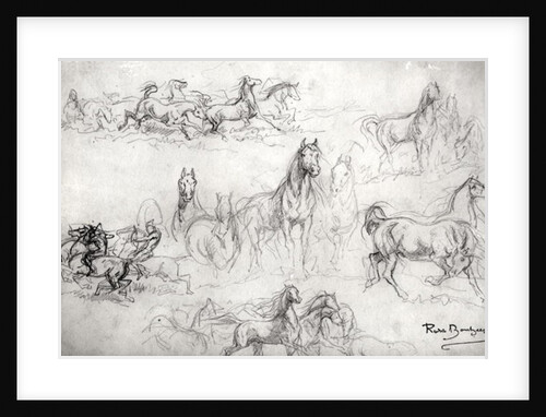 Study of Horses by Rosa Bonheur