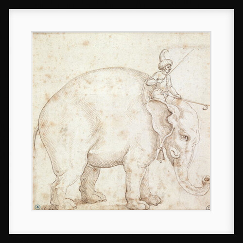 Elephant Hanno and his Mahout by Italian School