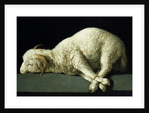 Agnus Dei, c.1635-40 by Francisco de Zurbaran