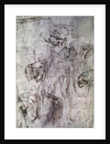 Various studies, verso of Study for David by Michelangelo Buonarroti