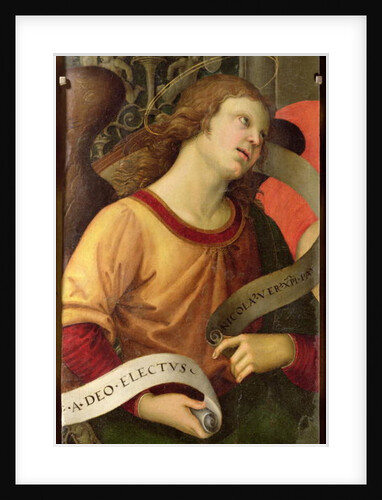 Angel by Raphael (1483-1520)