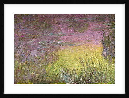 Waterlilies at Sunset, 1915-26 by Claude Monet