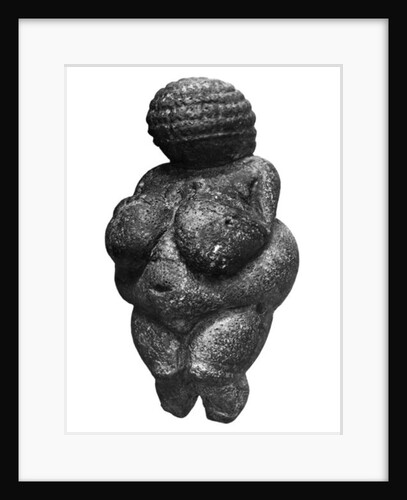 The Venus of Willendorf, side view of female figurine, Gravettian culture, Upper Paleolithic Period, c.30000-18000 BC by Prehistoric Prehistoric