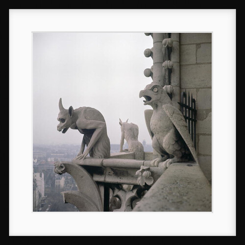 Gargoyles on the balustrade of the Grande Galerie by Eugene Emmanuel Viollet-le-Duc
