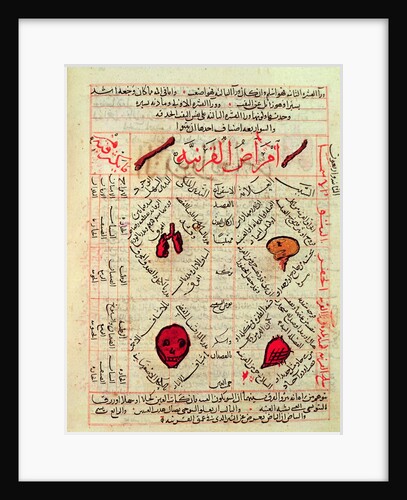 Page from the 'Canon of Medicine' by Avicenna, 14th century by Islamic School