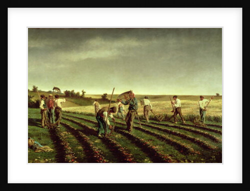 Reaping Sainfoin in Chambaudouin, 1882 by Pierre Edmond Alexandre Hedouin