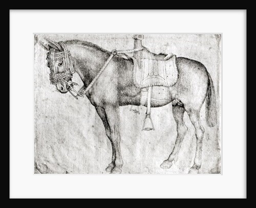 Mule by Antonio Pisanello