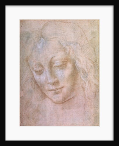 Head of a woman by Leonardo da Vinci