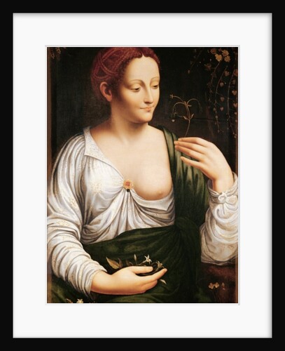 Columbine by School of Leonardo da Vinci