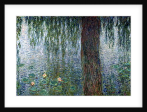 Waterlilies: Morning with Weeping Willows, 1915-26 by Claude Monet