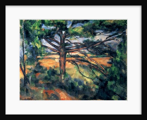 The Large Pine, 1895-97 by Paul Cezanne