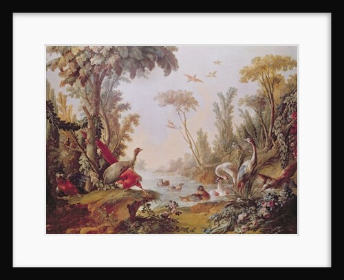 Lake with geese, storks, parrots and herons by Francois Boucher