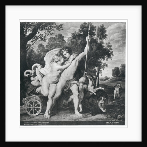 Venus and Adonis by Peter Paul Rubens