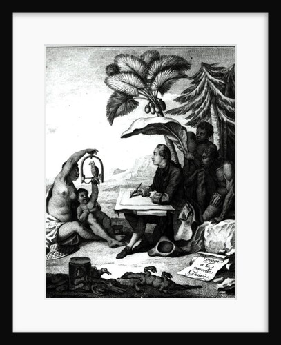 Pierre Sonnerat Drawing a Bird by Pierre Sonnerat